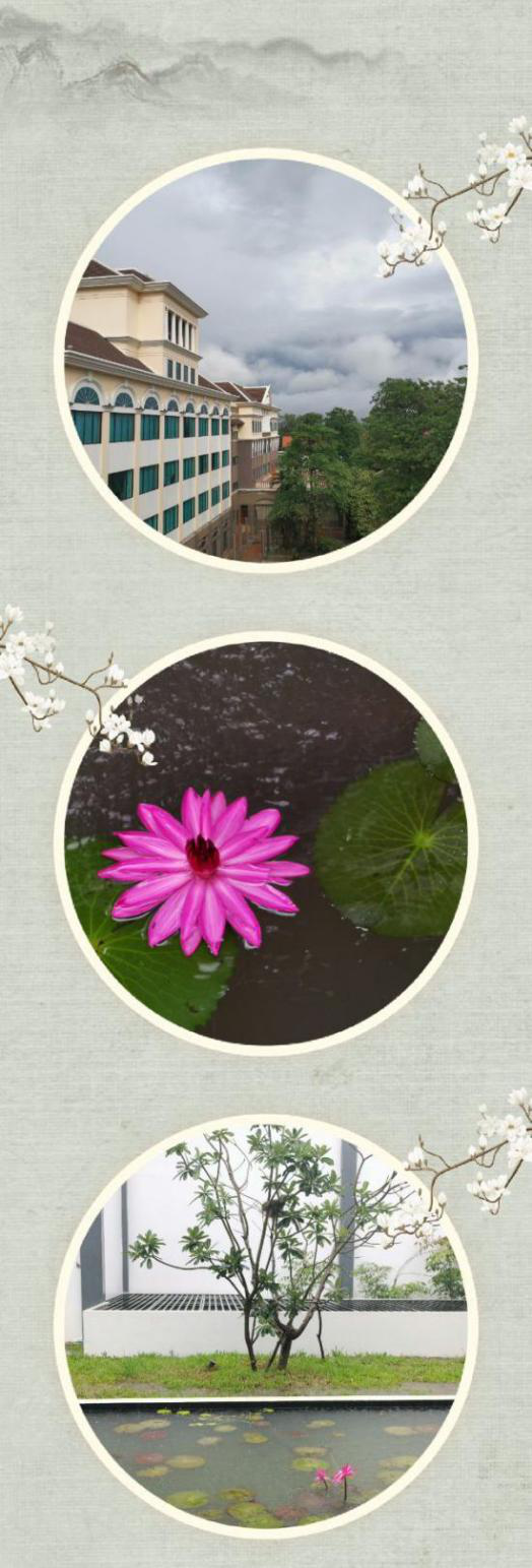 1396me���ŵڽ�-�ʼ�1396�ٷ���վ