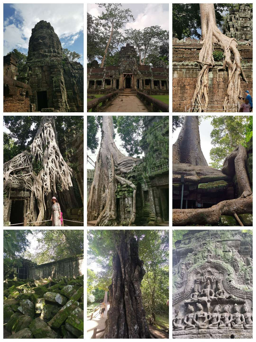 1396me���ŵڽ�-�ʼ�1396�ٷ���վ