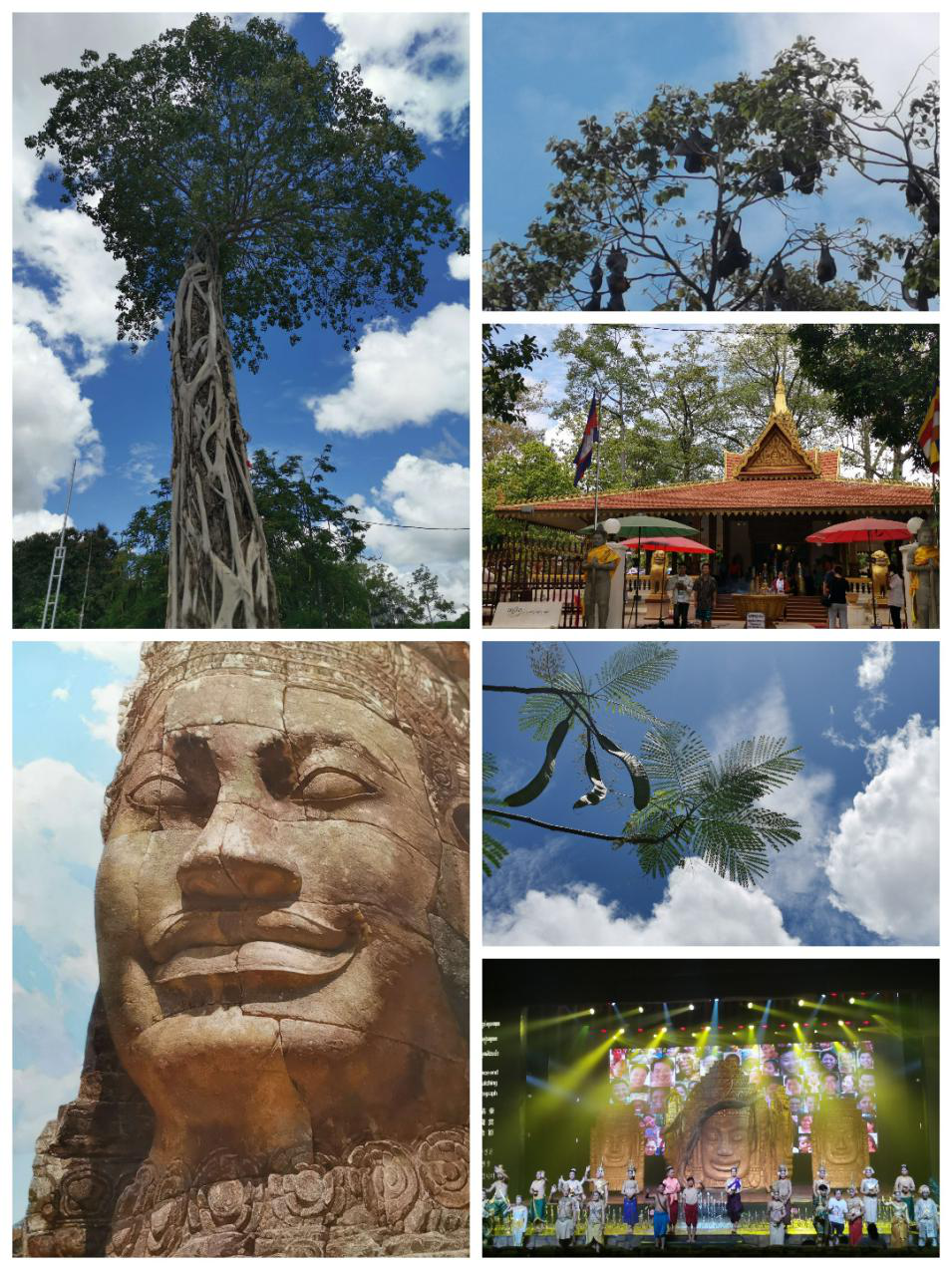 1396me���ŵڽ�-�ʼ�1396�ٷ���վ