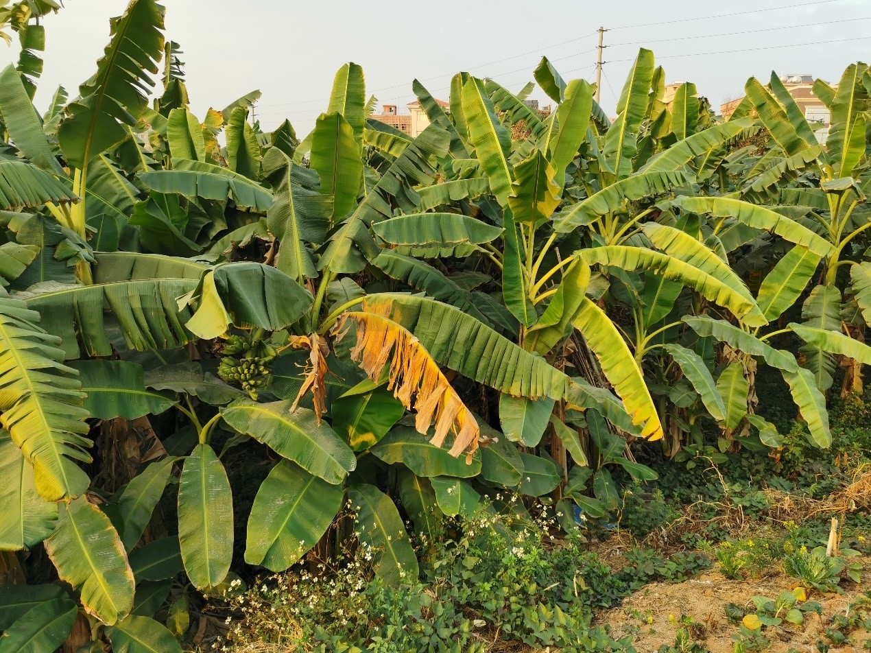 1396me���ŵڽ�-�ʼ�1396�ٷ���վ