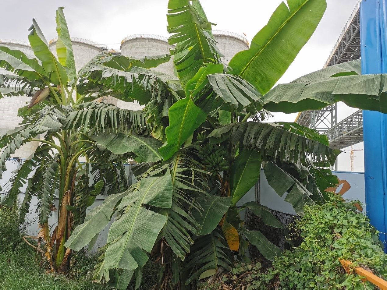 1396me���ŵڽ�-�ʼ�1396�ٷ���վ