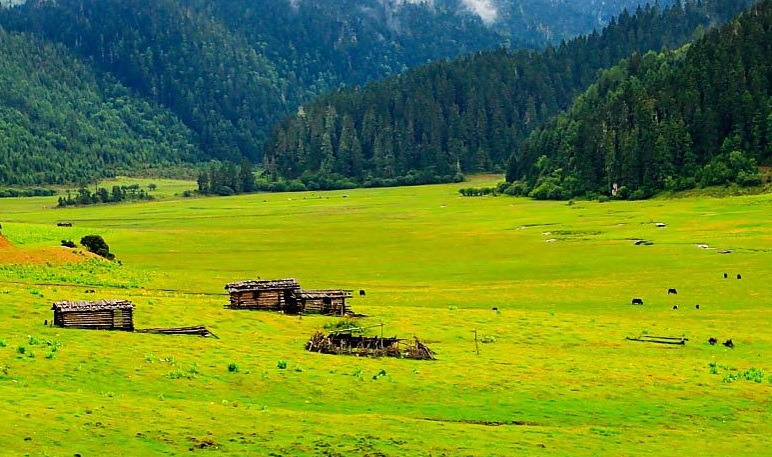 1396me���ŵڽ�-�ʼ�1396�ٷ���վ